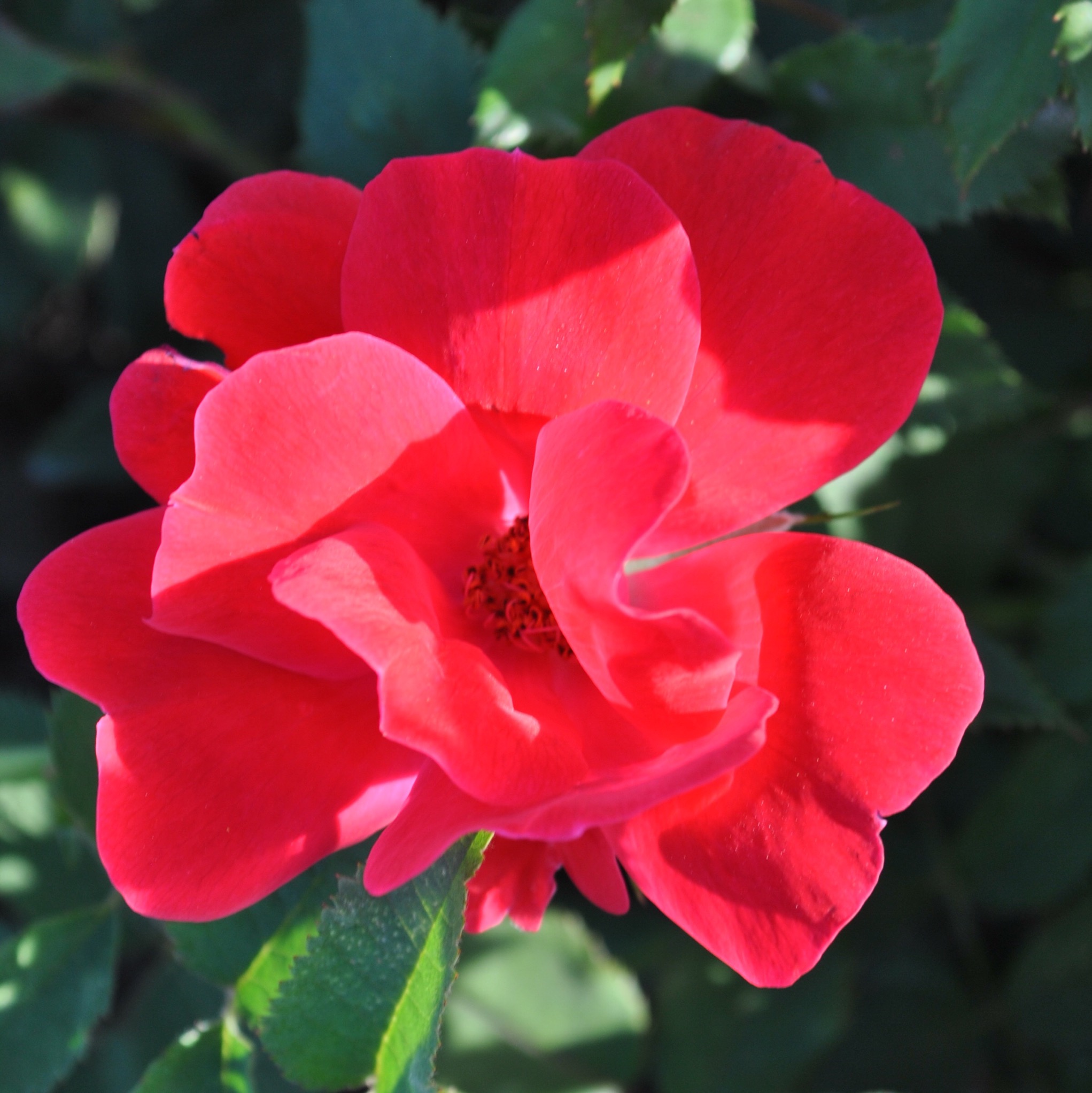 Нок Аут  (Knock Out) в Туле