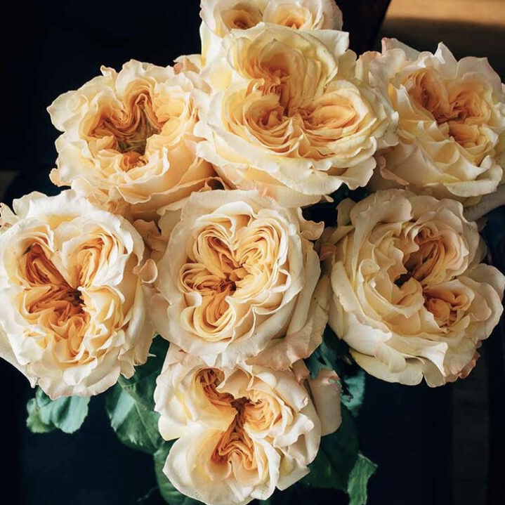 Веддинг Экспрешн  (Wedding X-Pression) в Туле