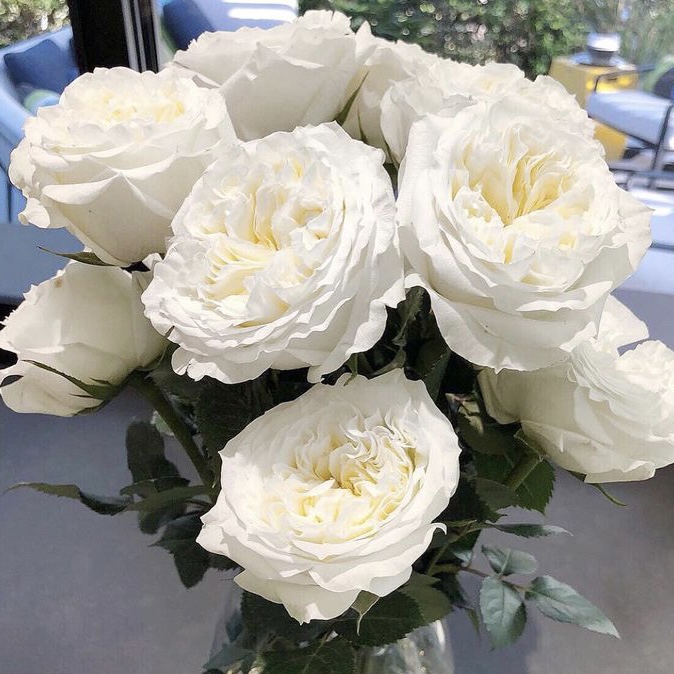 Майра Вайт  (Mayra’s White) в Туле